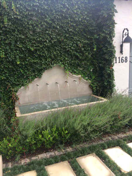 Beautiful Nature image