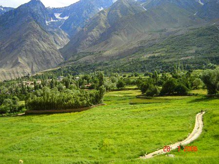 Beautiful Nature image