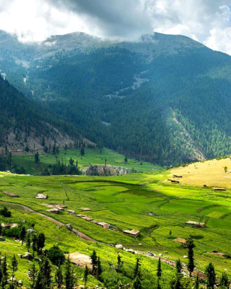 Beautiful Nature image