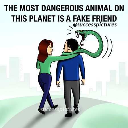Life Advice image