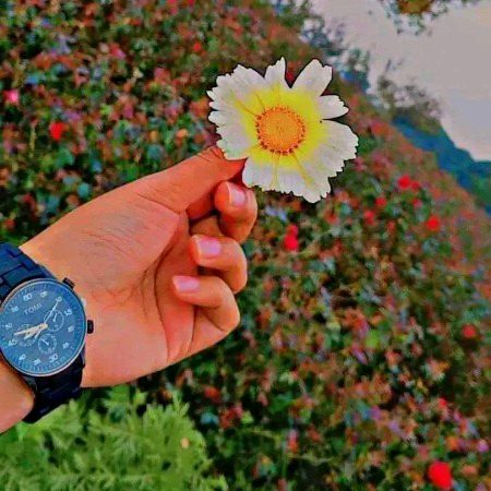 Beautiful Nature image