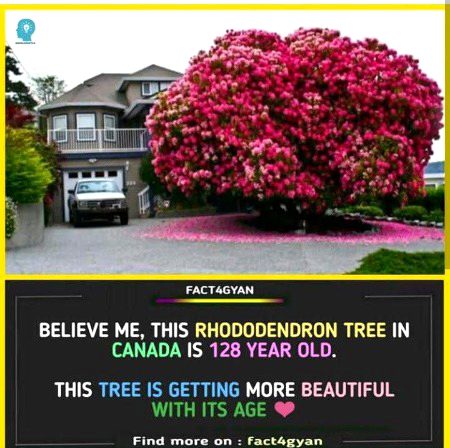 Interesting Posts image