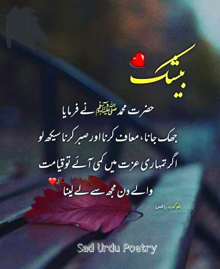 Islamic Quotes image