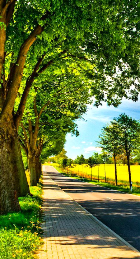 Beautiful Nature image