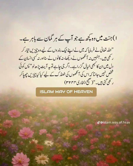 Islamic Quotes image