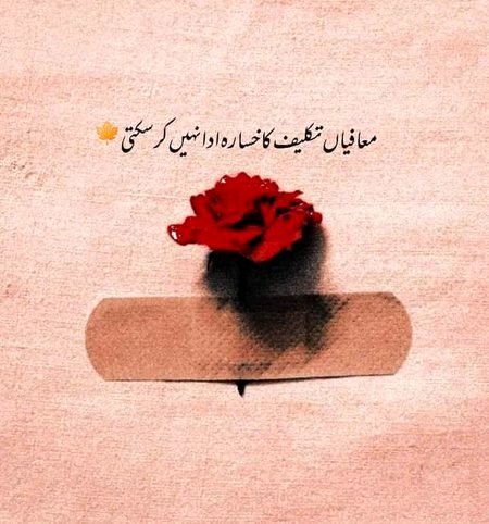 Sad Poetry image