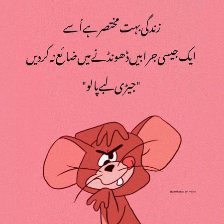 Memes & Satire image