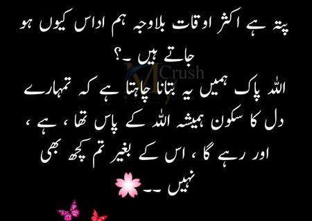 Islamic Quotes image