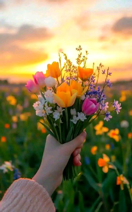 Beautiful Nature image