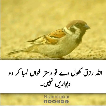 Motivational Quotes image