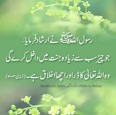 Islamic Quotes image