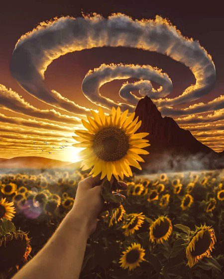 𝑲𝒆𝒆𝒑 𝒚𝒐𝒖𝒓 𝒇𝒂𝒄𝒆 𝒕𝒐 𝒕𝒉𝒆 𝒔𝒖𝒏 𝒂𝒏𝒅 𝒚𝒐𝒖 𝒘𝒊𝒍𝒍 𝒏𝒆𝒗𝒆𝒓 𝒔𝒆𝒆 𝒕𝒉𝒆 𝒔𝒉𝒂𝒅𝒐𝒘𝒔..  🌄 🌞 🌻