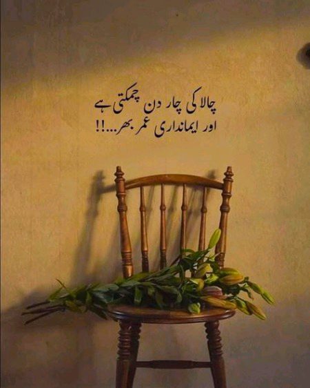 Life Advice image