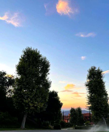Beautiful Nature image