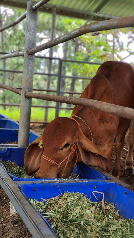 Beautiful Nature image