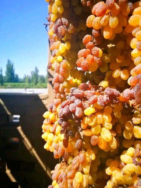 Beautiful Nature image