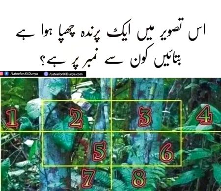 Riddles & Puzzles image