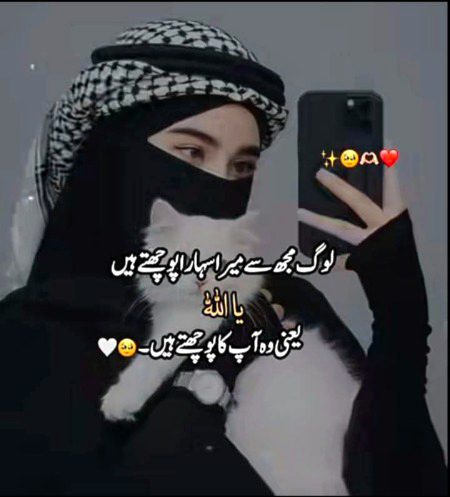 Attitude Quotes image