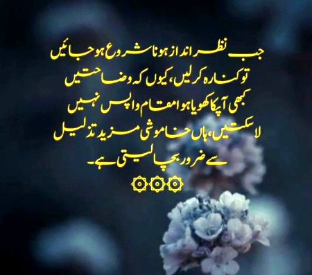 Ashyana bnaye bhi tu khn bnaye🤔...zmeen mhngi ho gai h 😔...or dil m log jgh nh dety🥀