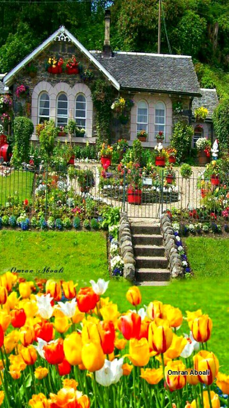 Beautiful Structures image