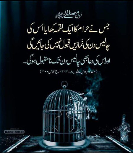 Islamic Quotes image