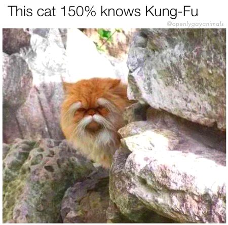 Memes & Satire image