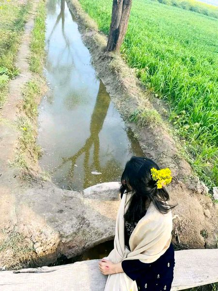 Beautiful Nature image