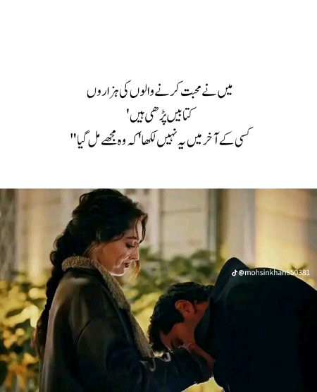 قلبی سکوں کی آس میں آدھے جو رہ گئے
اب آدھے سر کے درد کے  پورے مریض ہیں🩶