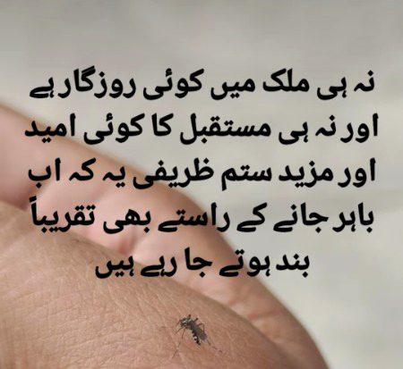 لوگ پھر اس کو کفن دیتے ہیں ہمدردی کا💔
💔سرد راتوں میں جو فٹ پاتھ پہ مر جاتا ہـے