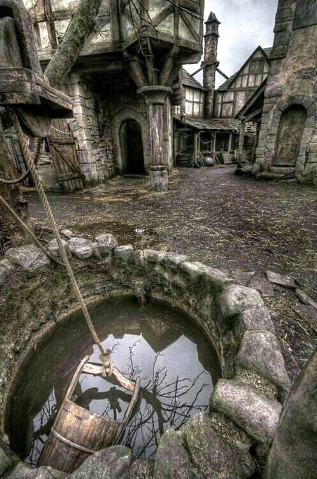 My fantasy world...🌷🌺🥀🌹🪷