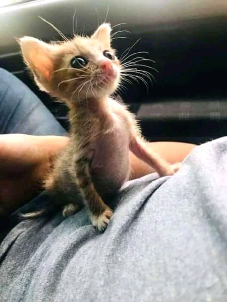 Beautiful Nature image