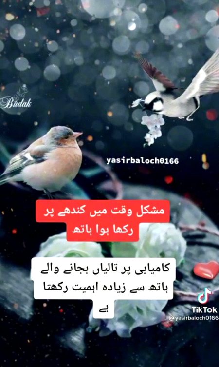 Sirf hath hi nh ..alfaz bhi sahara bnty hn.jhan hth na pkar skyn., whn .lafzon se tham lia kryn