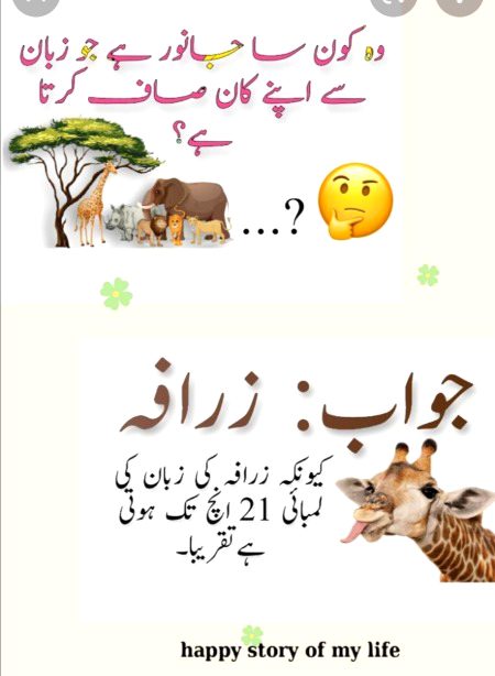 Riddles & Puzzles image