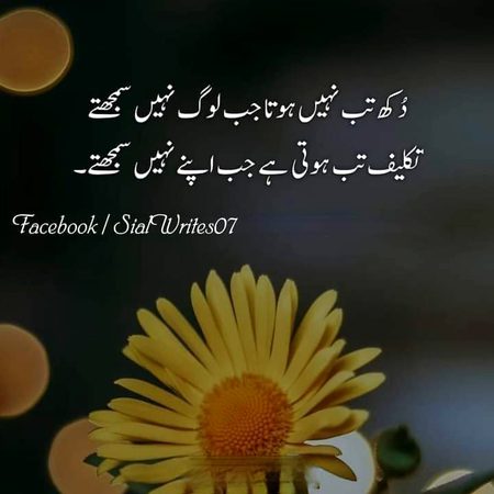 Sad Poetry image