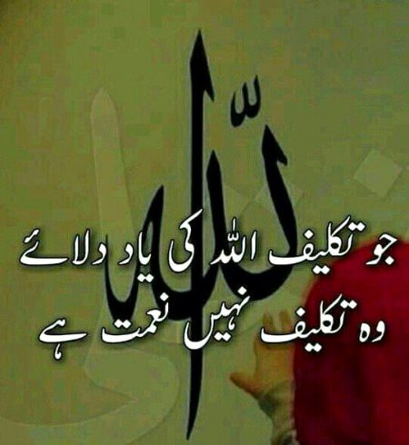 Islamic Quotes image