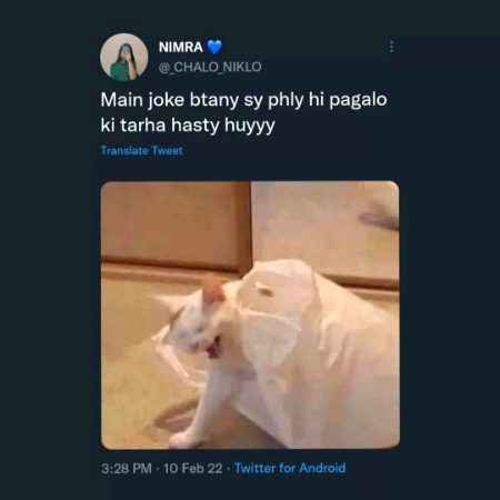 Memes & Satire image