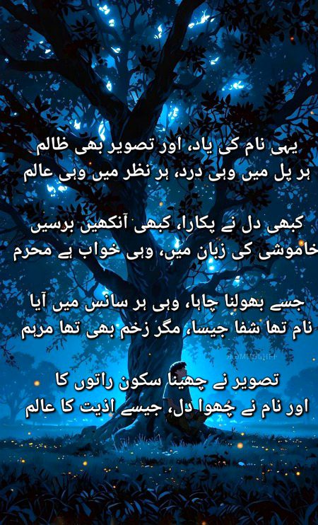 یادوں میں وہی خوشبو، وہی لمس کی رم
یہی نام کی یاد، اور تصویر بھی ظالم