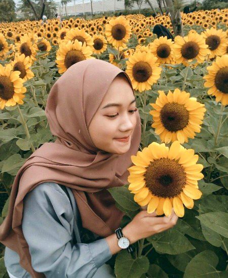 Beautiful Nature image