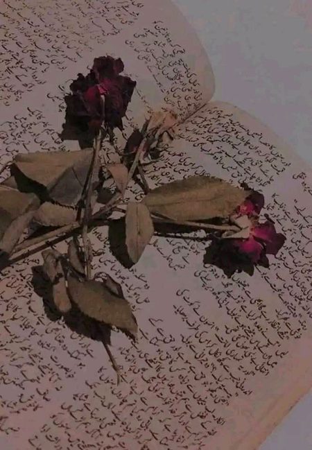 اور جب ميں تمہاری زندگی ميں نہ رہوں
 تو مجهے محبت کی کسی کتاب ميں
 سوکھے پھول کی مانند قید کر لینا