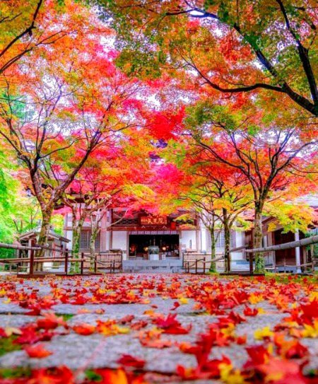 Fukuoka Prefecture , Japan