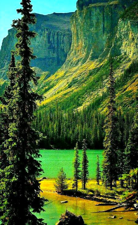 BEAUTIFUL NATURE