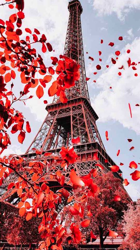 Beautiful Structures image