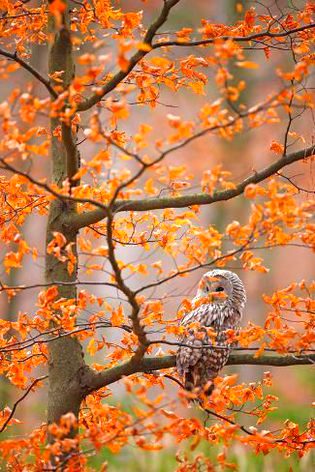 Beautiful Nature image