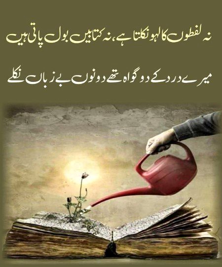 🌹 merijan-16 🌹
Meri qismat