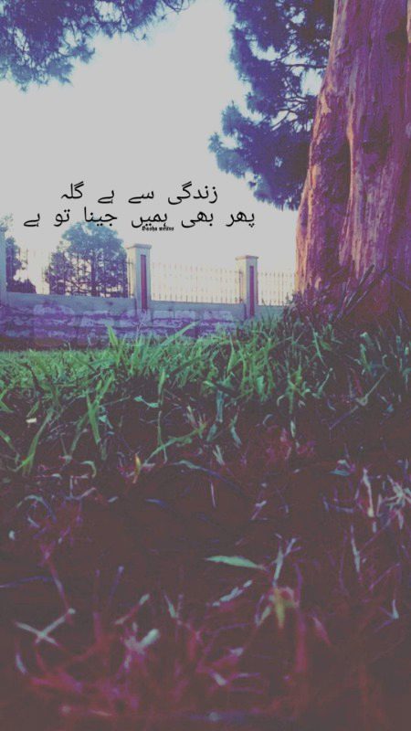 تُو کوئی بات نہ کر میری سمت دیکھتا جا