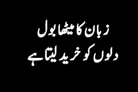 زبان کا میٹھا بول دلوں کو خرید لیتا ہے