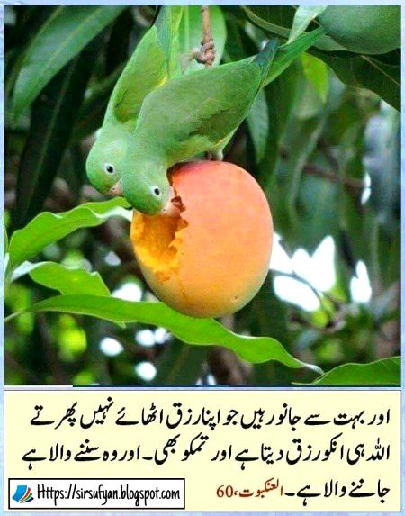 Islamic Quotes image