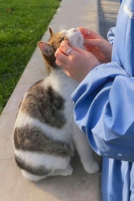 Beautiful Nature image