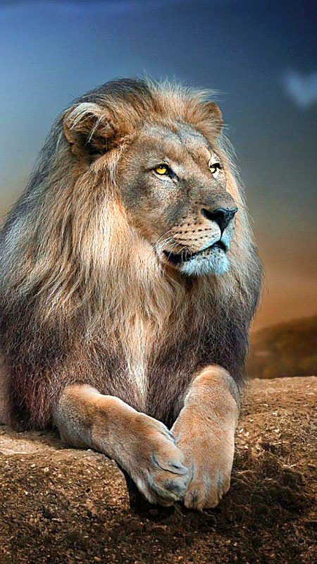 Beautiful Nature image