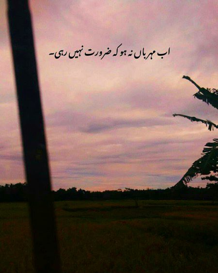 ✨……💯…….✨